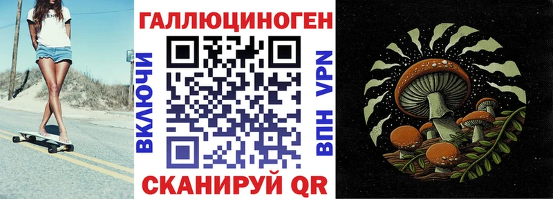 наркота  Заводоуковск  Псилоцибиновые грибы мухоморы 
