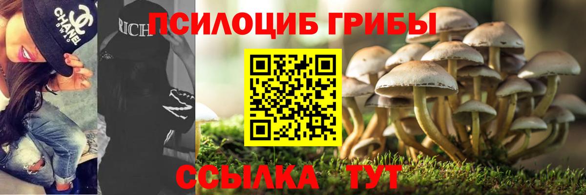 даркнет сайт  Вход с VPN  Заводоуковск  Псилоцибиновые грибы Psilocybine cubensis 